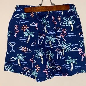 Chubbies Shorts - Fun Print - Easy Shorts - L - 4”